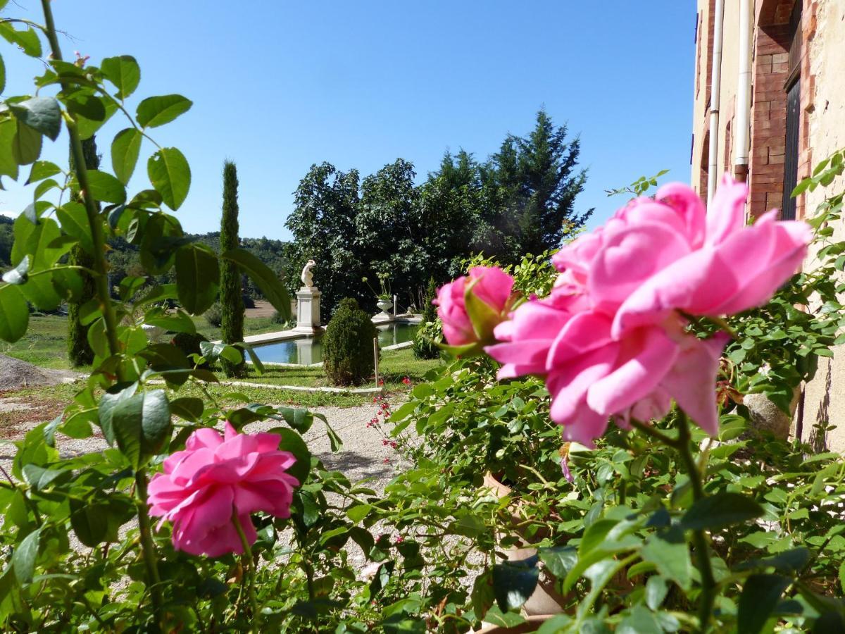 Chateau Du Grand Jardin Valensole Exteriör bild